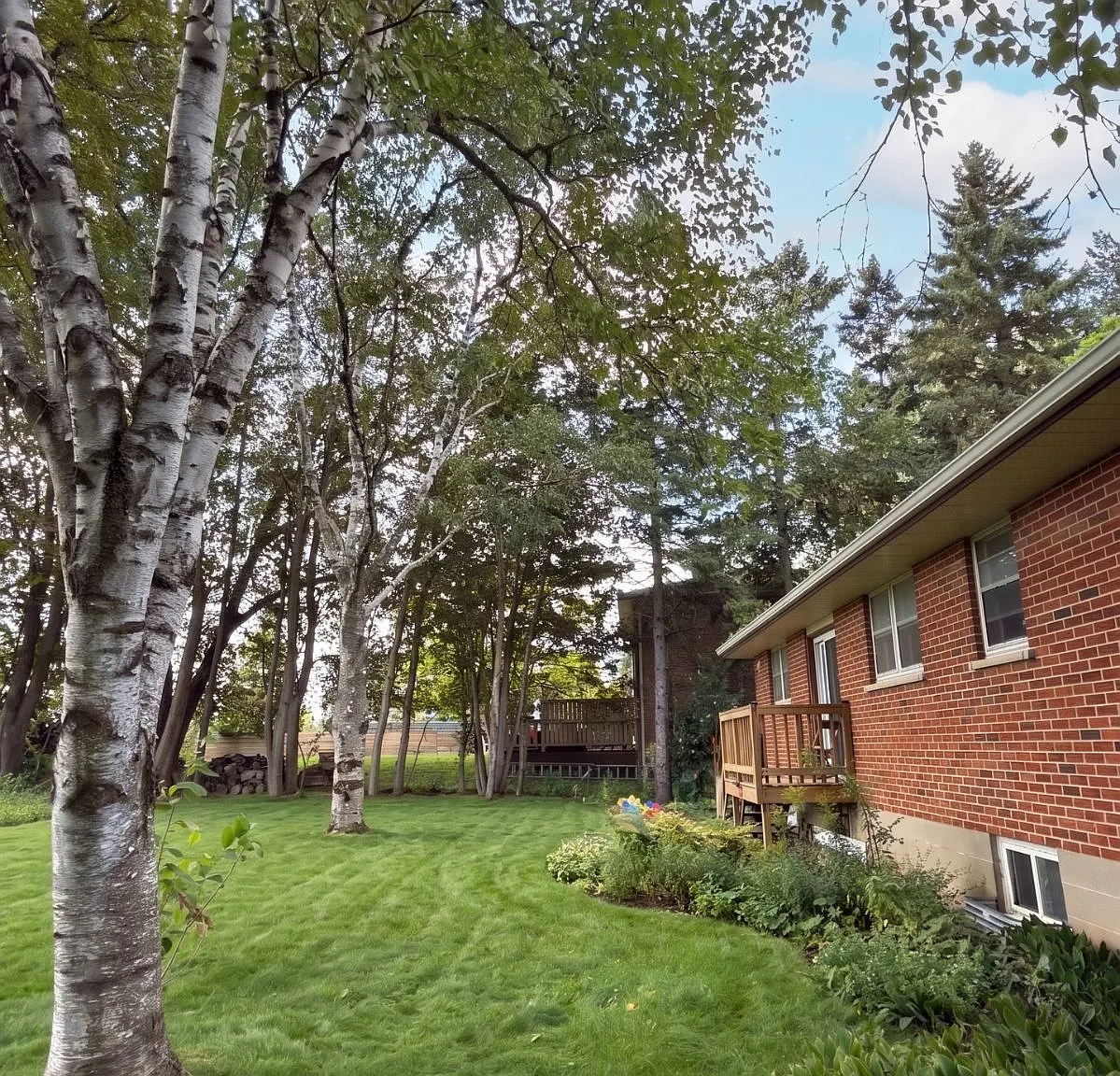 3 bed, $2,699 — Photo 3
