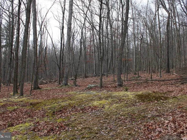 Whispering Pines Rd, Slanesville, WV 25444