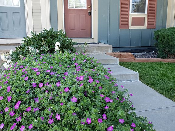 Landscaping maintained by HOA