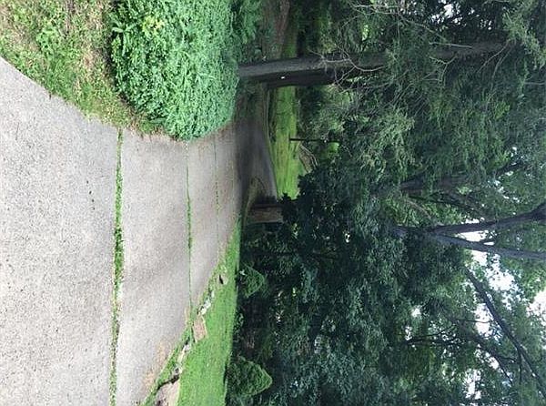 2nd image of 1401 Lakeside Dr