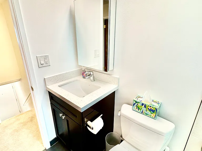 New Bathroom Vanity, Toto Sink & Toilet, Grohe Faucet, LED Lighting