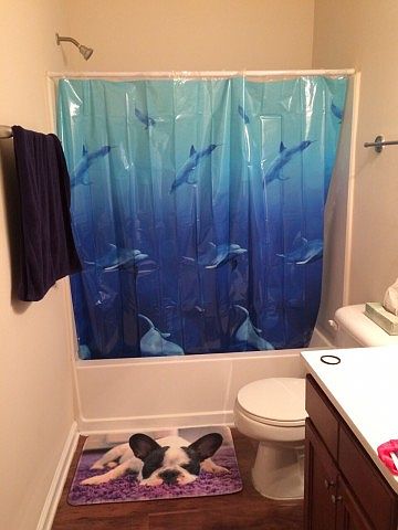 2nd image of 1118 Gold Rush Blvd #16D
