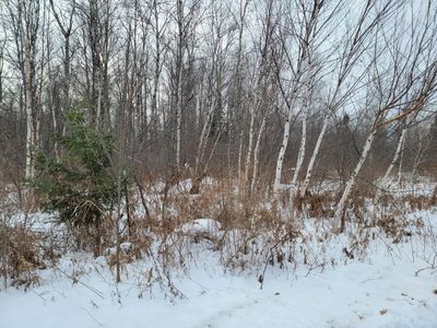 5 Acres off Weirgor Road, Exeland, WI, 54835