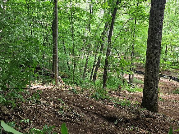 5th image of Lot 4 Chemin Colwell #4