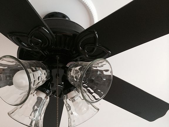 Ceiling Fan-Light in Every Room