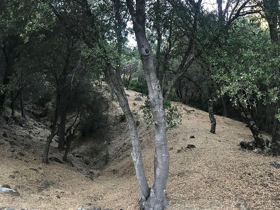 1st image of 13669 Sun Forest Dr