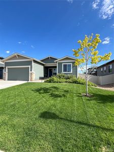 3892 Hackberry Street, Wellington, CO, 80549