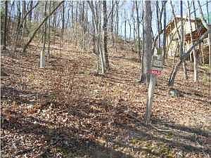 2nd image of 147 Eagle Creek Trl