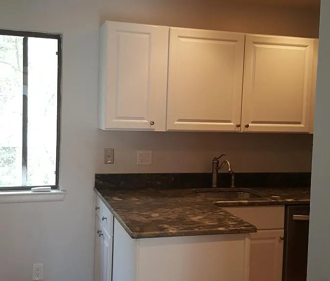 Lower Level - Kitchen - all new