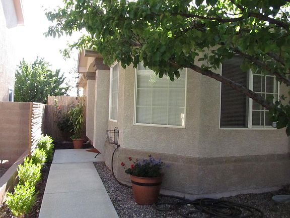 Entry walk & Apricot tree