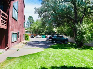 534 E 3rd St, Eagle, CO 81631