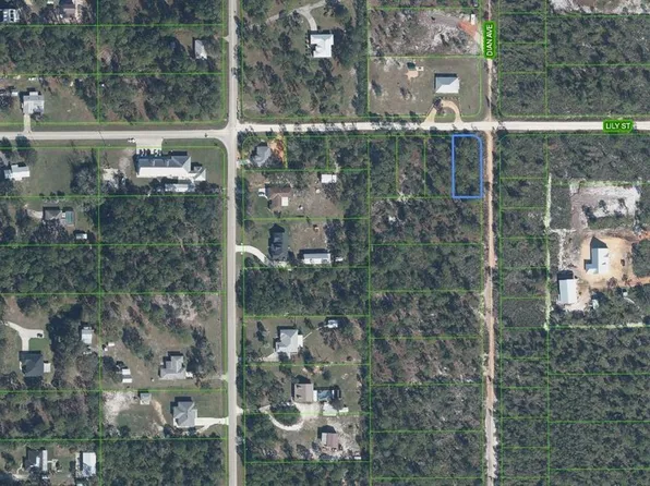 809 Lily St, Sebring, FL 33875