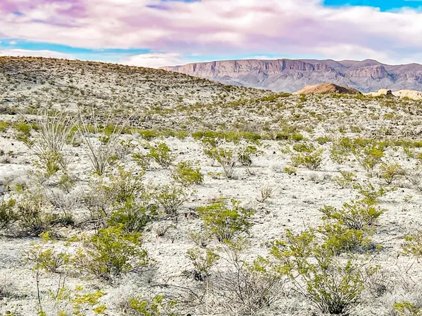 19800 Reimers Rd, Terlingua, TX 79852