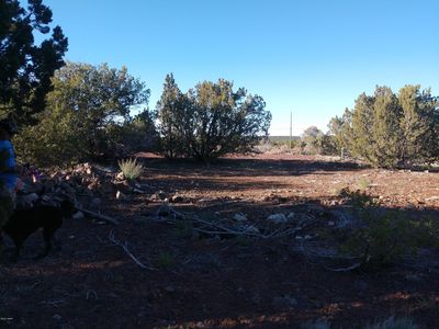 2053 Silver Creek Dr, Show Low, AZ, 85901