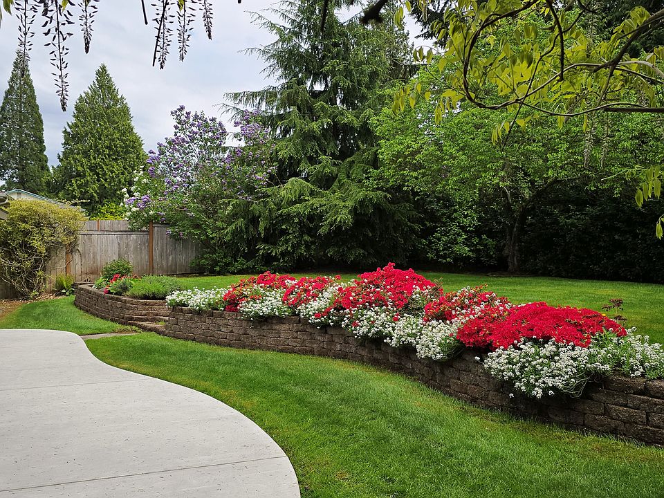 Great, private back yard