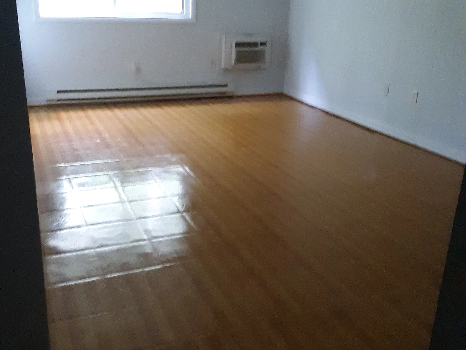 1 bed, 700 sqft, $1,495 — Photo 4