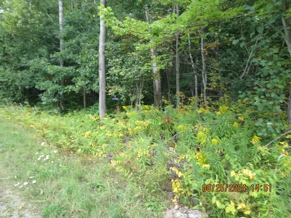 Norway Ave, Lake, MI 48632