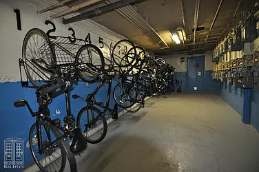 Rented by EXP Realty NYC