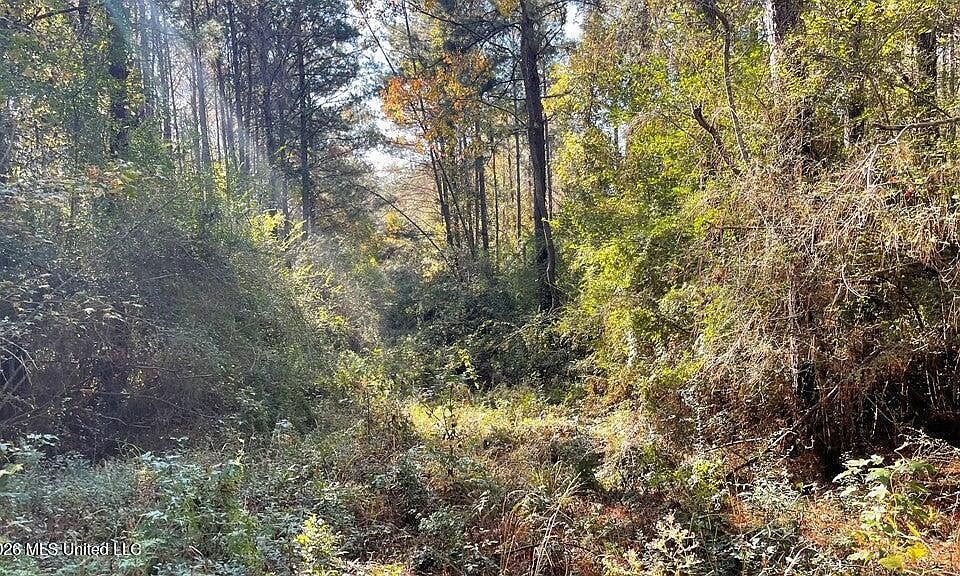 1st image of Delaware Ave