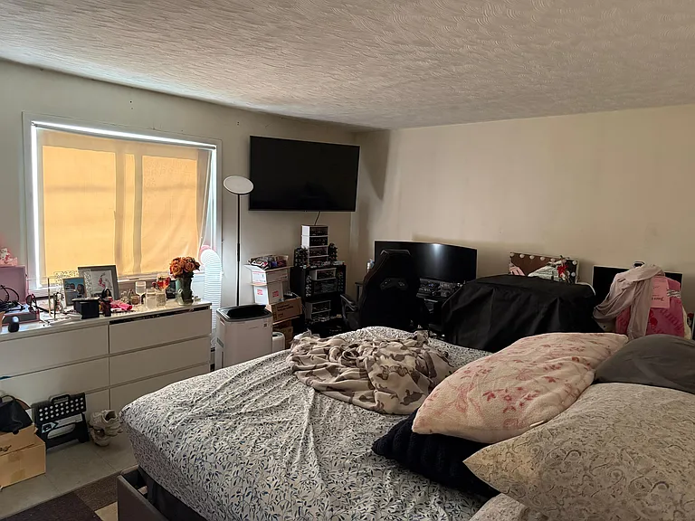 311 Lehrer Ave — Photo 4