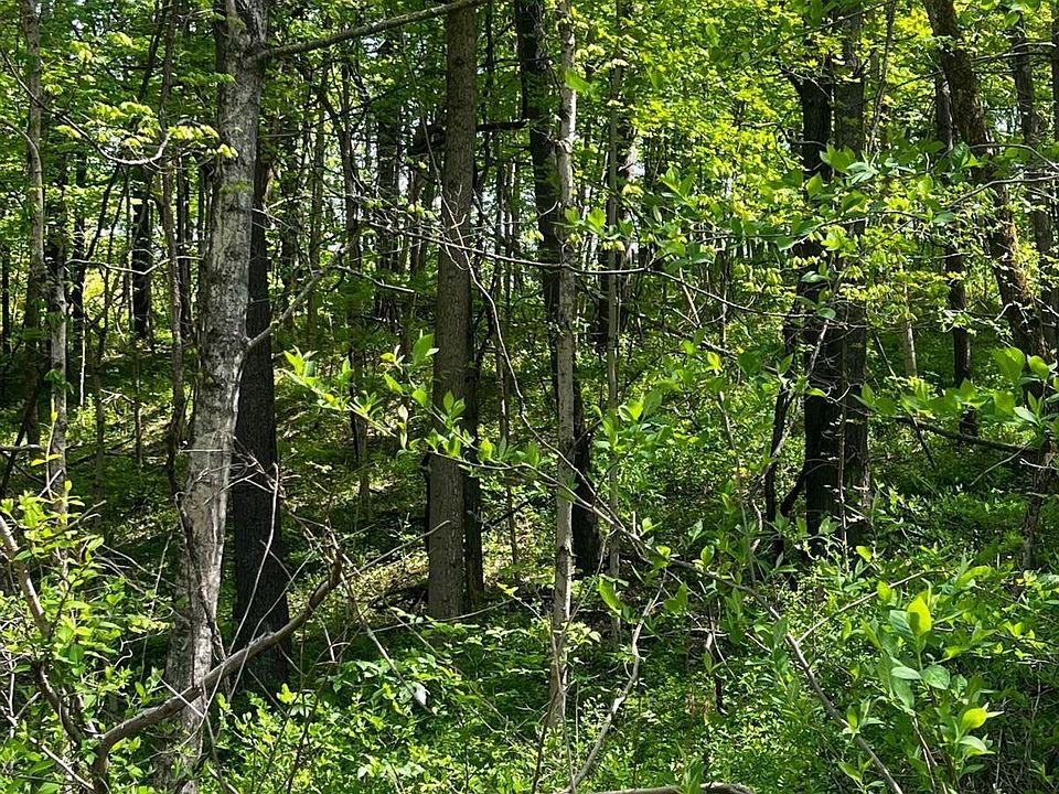 2nd image of Parkinson Rd