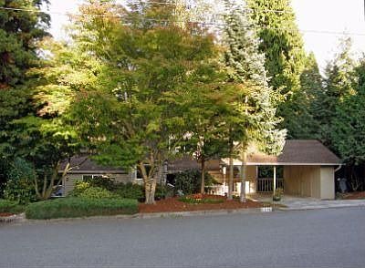 Beautiful Sun Drenched Custom Home