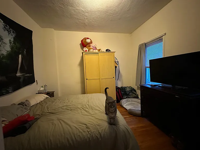 15 Concord Ave #2 — Photo 3