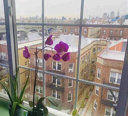 Rented by Corcoran | media 17