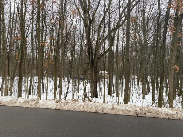 11265 Birwood Dr #60, Stanwood, MI 49346