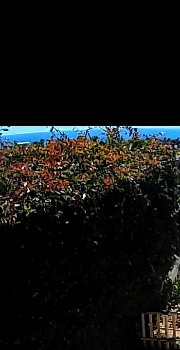 1st image of (Undisclosed Address)