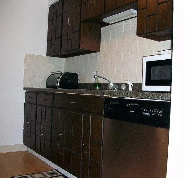 Kitchen View 2