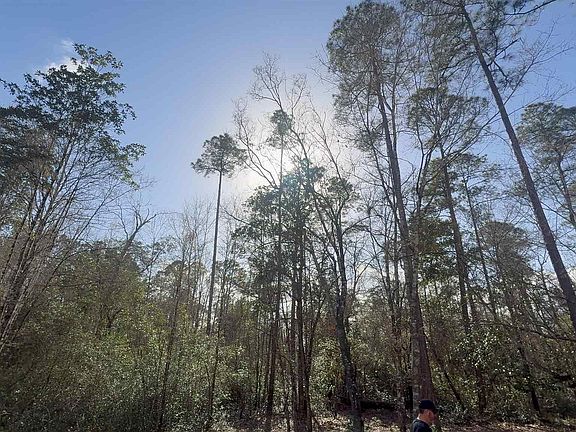 2nd image of 0 Native Creek Rd