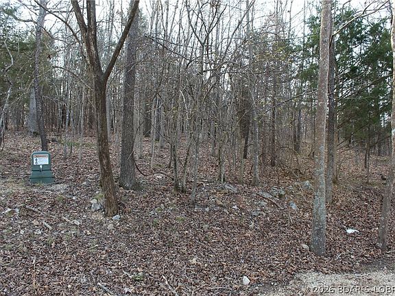 2nd image of 39 Gray Wolf Rd
