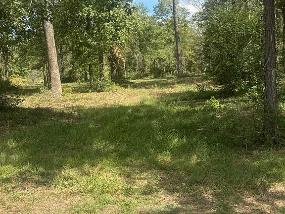 3rd image of County Road 175