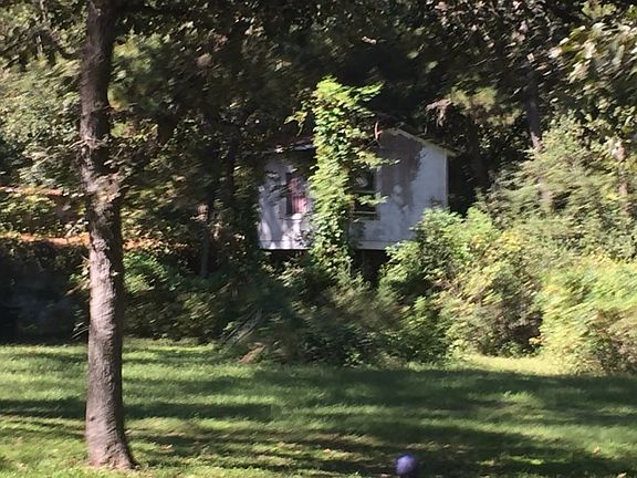 5th image of 18826 Mink Lake Dr