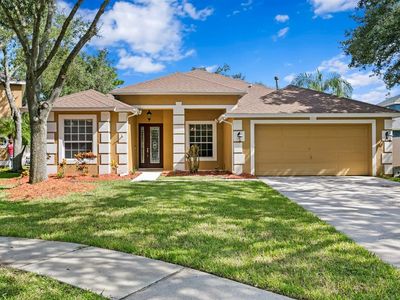 8504 Gold Finch Ct, Tampa, FL, 33647