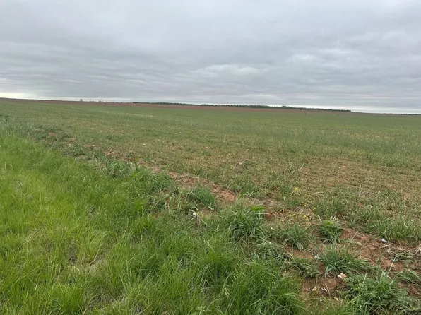 Fm 126 Merkel #Tr1, Merkel, TX 79536