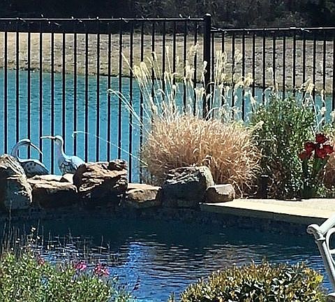3rd image of 8005 Saint Clair Dr