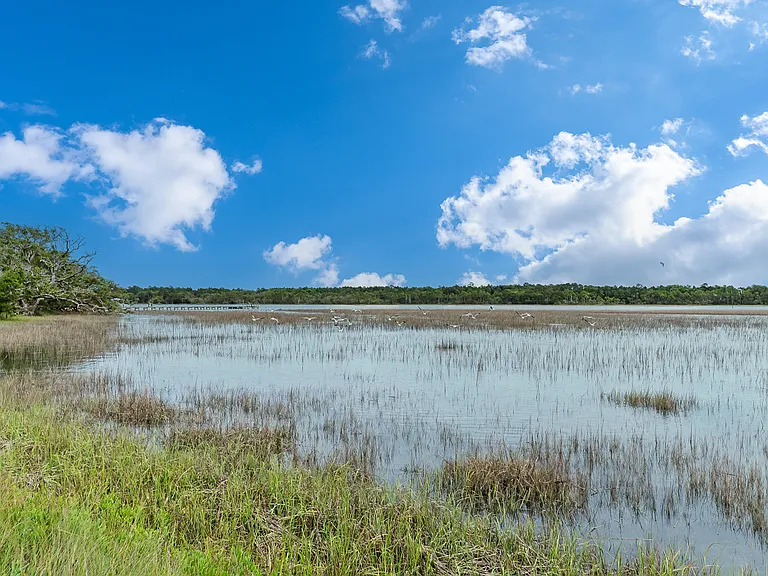 Marsh