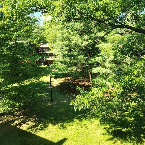 Residences at Pomona Park — Photo 117