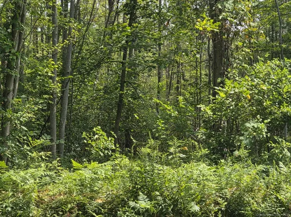 1220 Blue Hills Avenue, Bloomfield, CT 06002