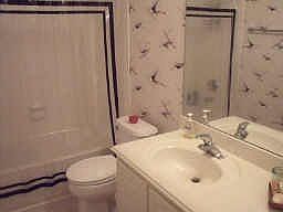 4th image of 8655 Westcove Cir