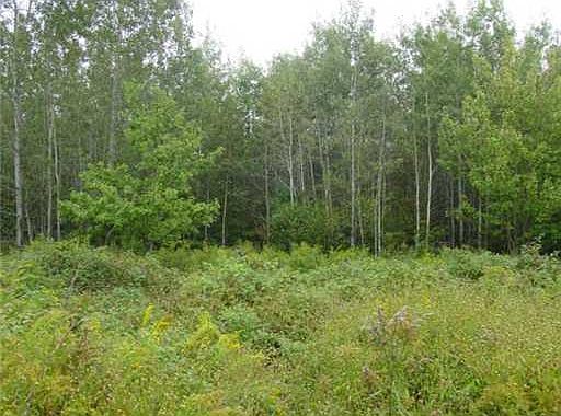 2nd image of 0 Off Notch Road