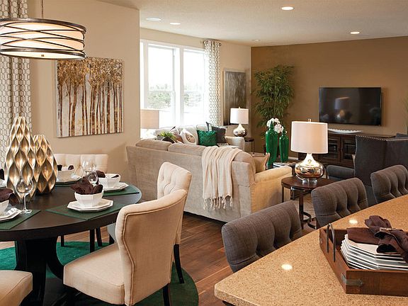 Model Representation