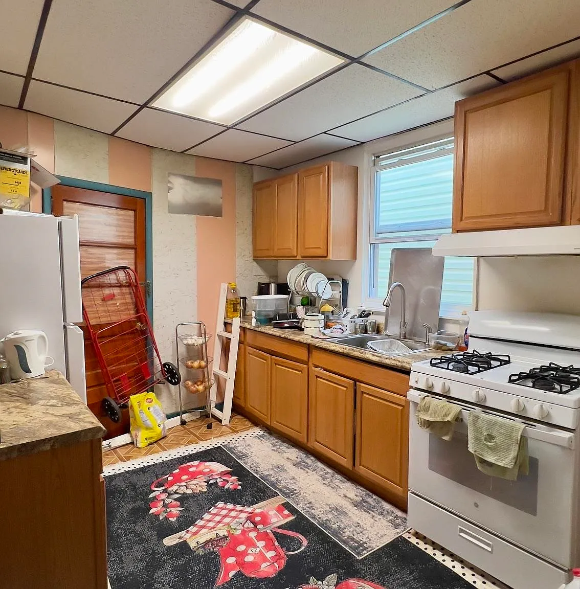 2 bed, 1.0 bath, $2,000 — Photo 3