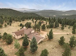 1343 Tapadero Rd, Bailey, CO 80421