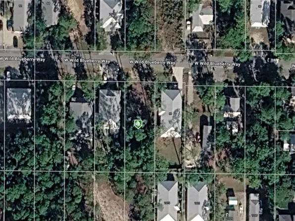 W Wild Blueberry Way, Santa Rosa Beach, FL 32459