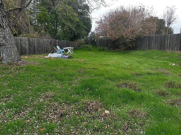 Back Yard...