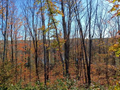 Kornstead Rd, Mellen, WI, 54546