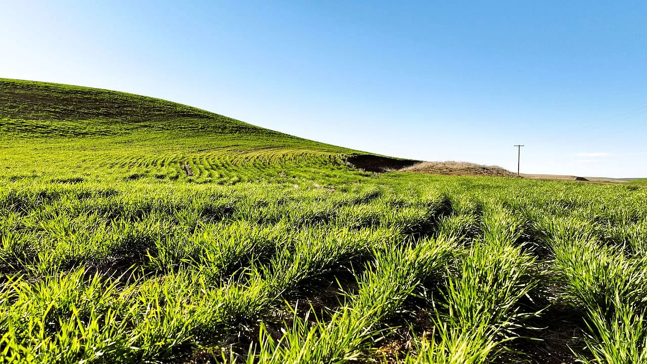 Kings Corner Rd photo 1